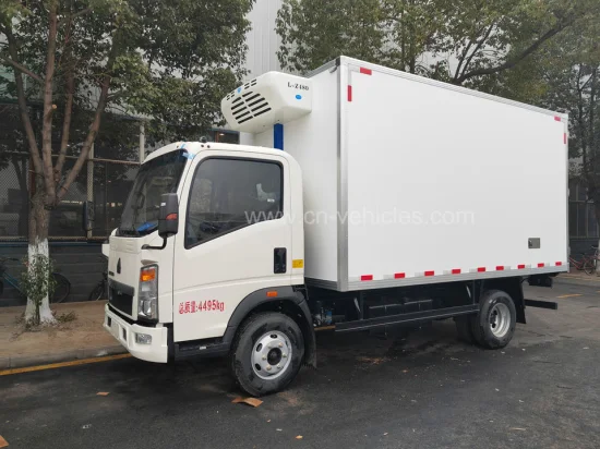 Camion de refroidissement de fourgon de boîte de nourriture de congélateur réfrigéré de transport de cargaison de réfrigérateur de HOWO