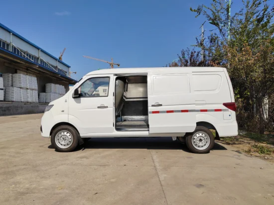 Van de fret électrique à grande vitesse Dernier modèle de mini-camion électrique D07