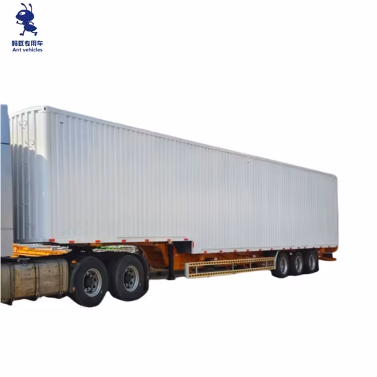 Plateau /Dump/Benne basculante /Container/Plate-forme/Lowboy/Skeleton/Semi-remorque à plateau pour camion remorque
